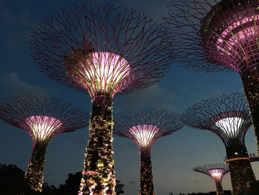 Supertree Grove at night