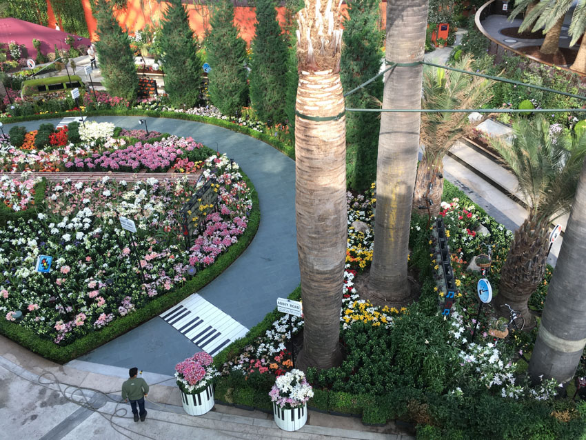 Musical garden inside the Flower Dome