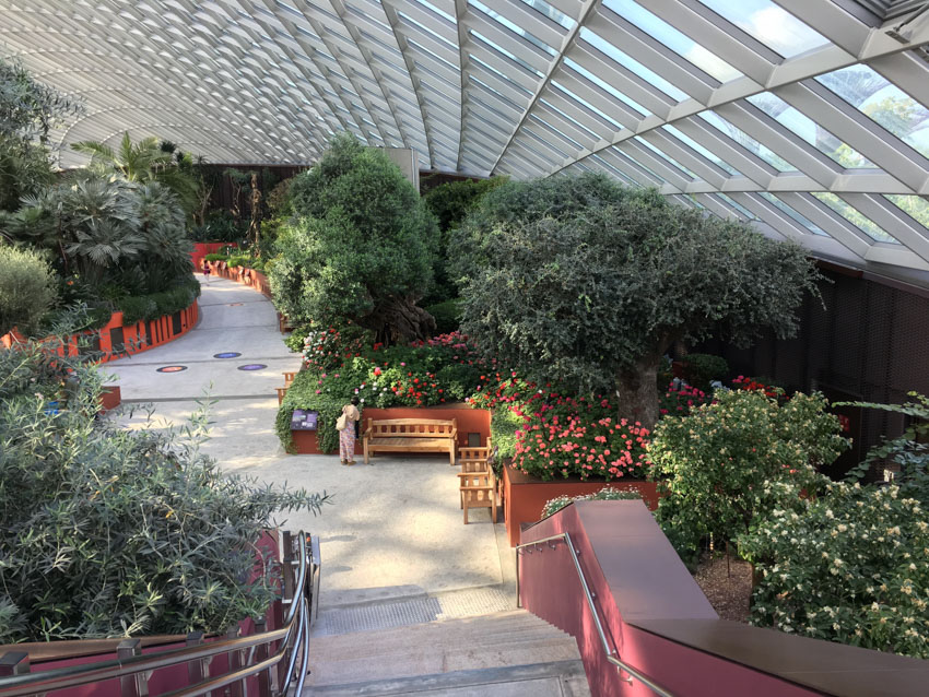 A view inside the Flower Dome