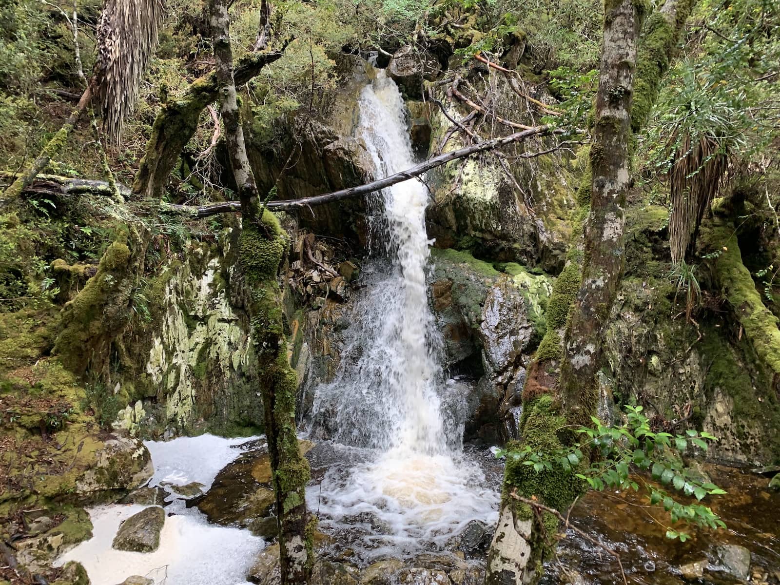 A waterfall amongst rocks and trees