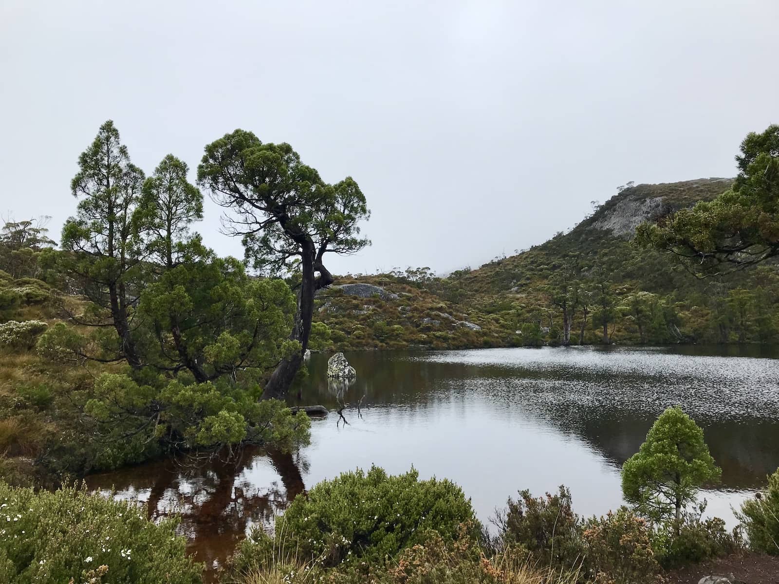 A lake with still water, and some trees to one side