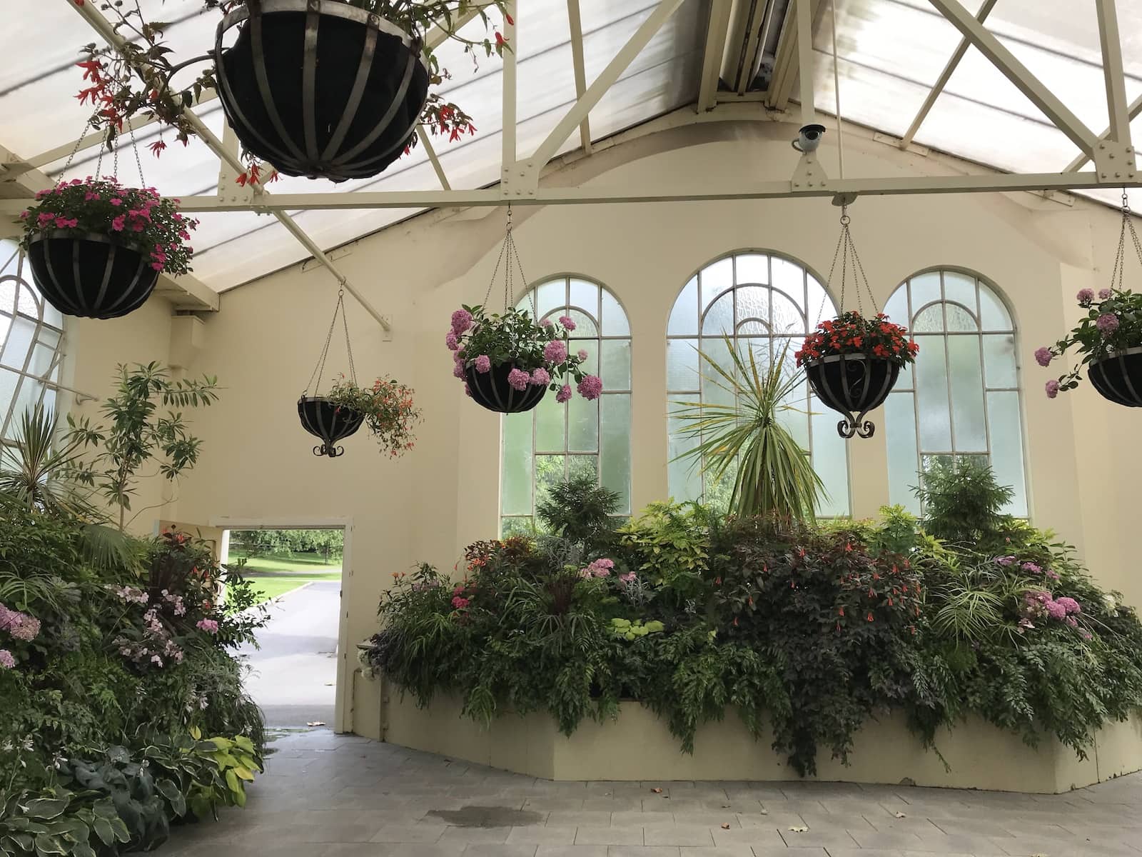 The inside of a conservatory with hanging plants and glass windows