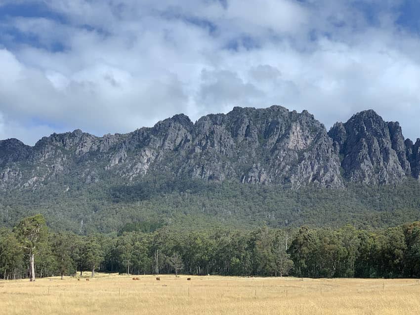 A mountainous view with a lot of green trees and farmland in the foreground