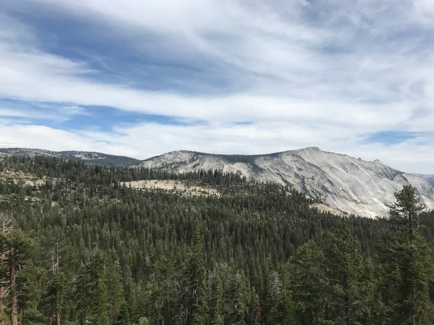 A scenic landscape showing many trees, resembling forest, and in the distance, grey terrain with patches of green.