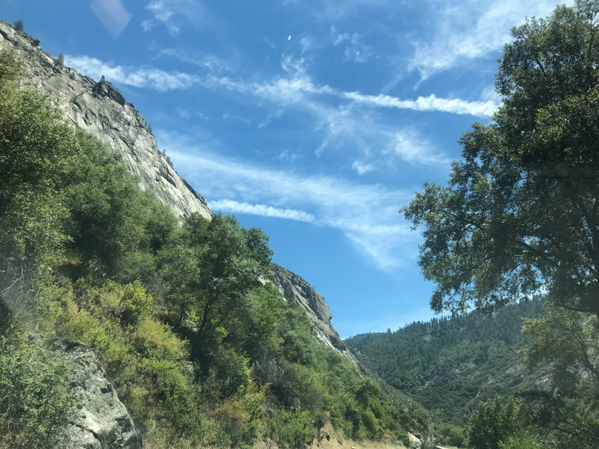 Granite rock formation with green leafy growth, with a blue sky in the background and a tree to the right