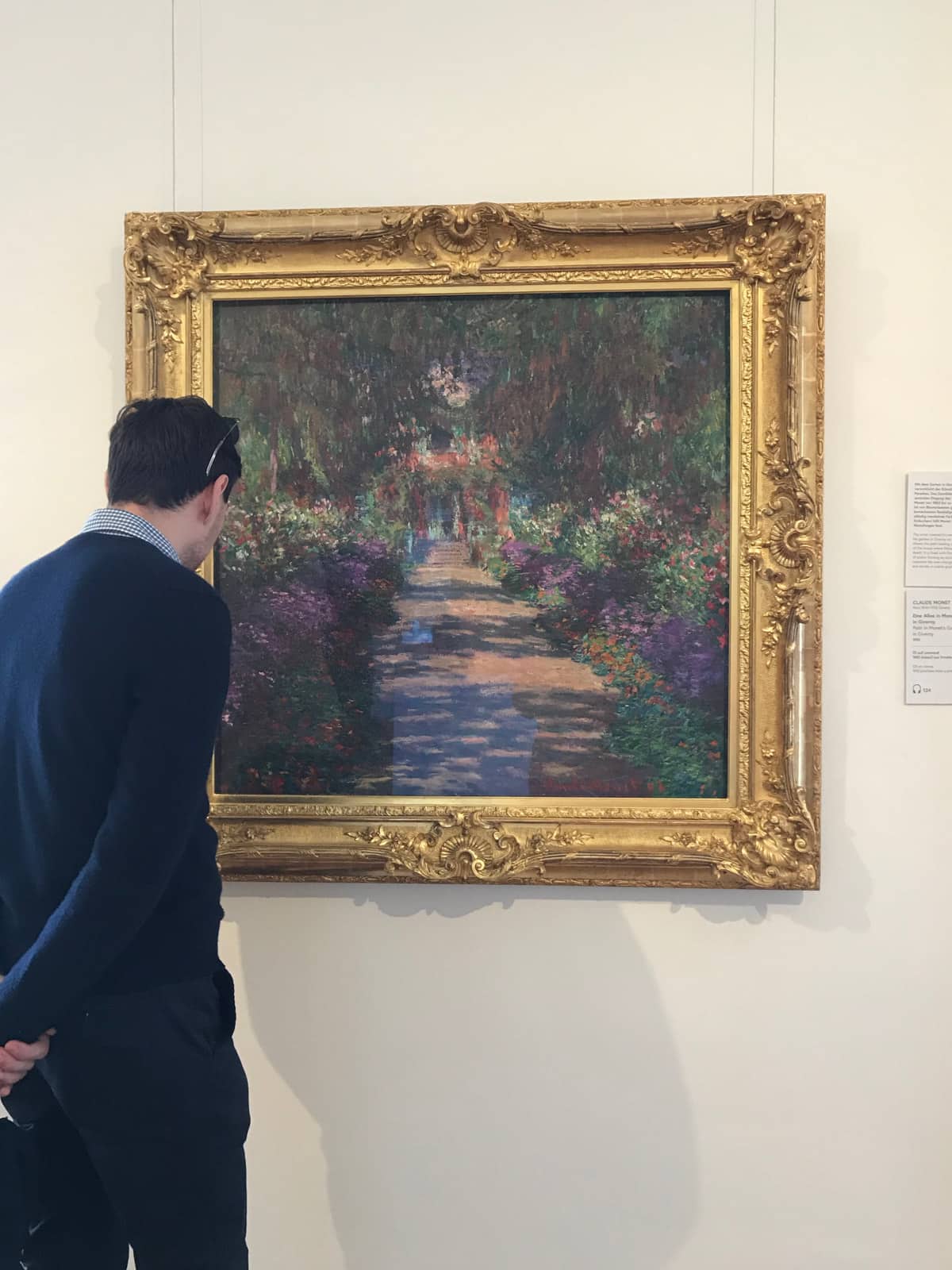 A man with dark hair wearing a blue sweater, analysing a painting in a gold frame that is on display on a wall in a gallery. The painting resembles flowers and has many colours