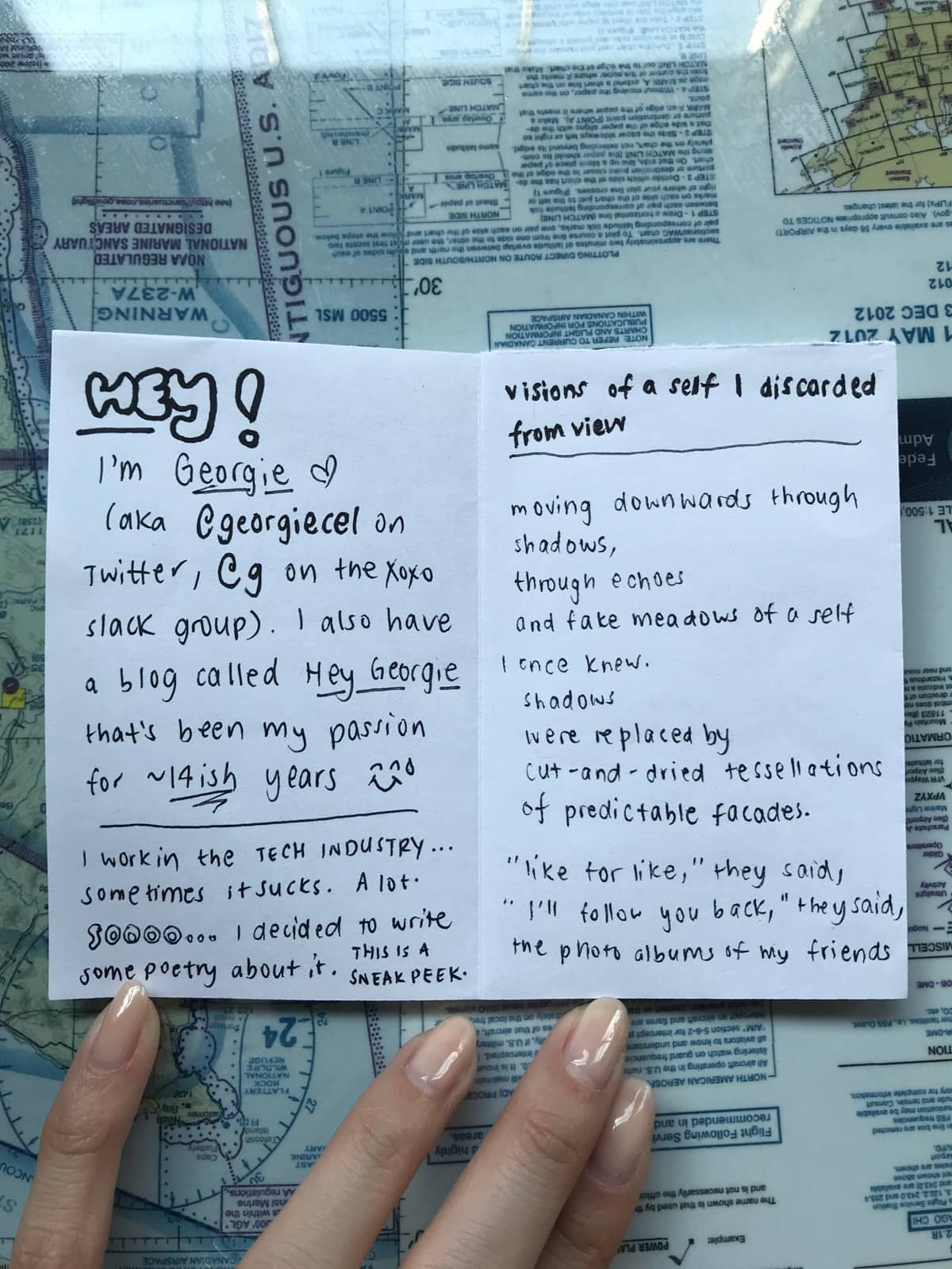 The inside of a zine with a small welcome message and an excerpt from a poem titled “visions of a self I discarded from view”