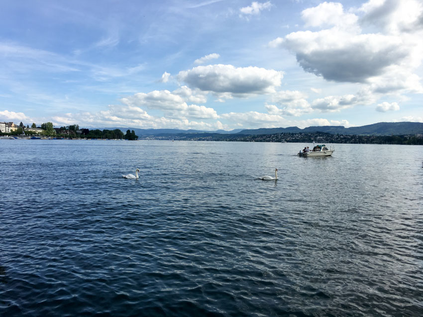 Beautiful view of the lake with a boat in the distance