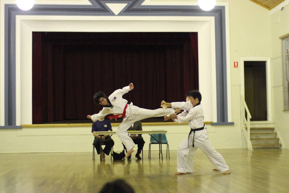 Brandon doing taekwondo