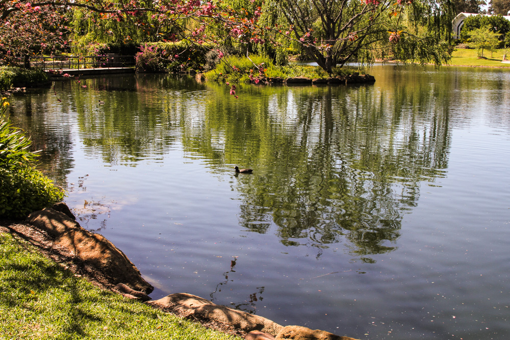 A pretty lake