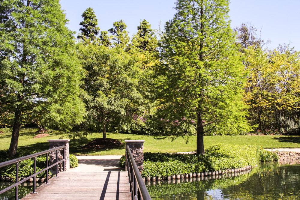 Bridge by the lake