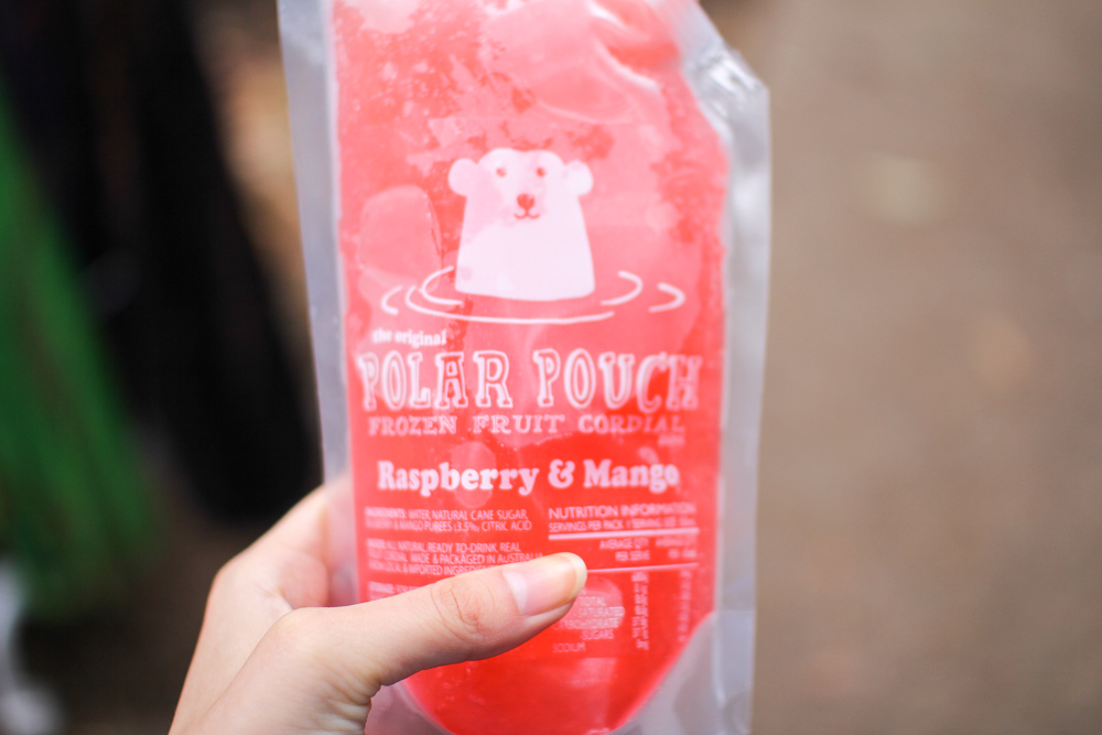 Polar Pouch – frozen raspberry/mango cordial