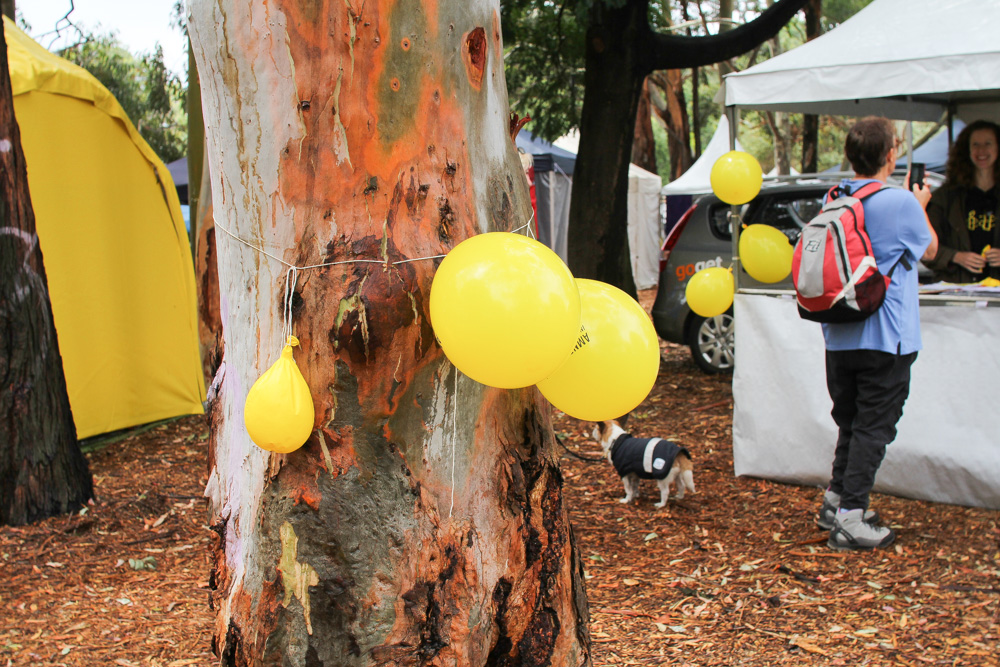 Amnesty International balloons