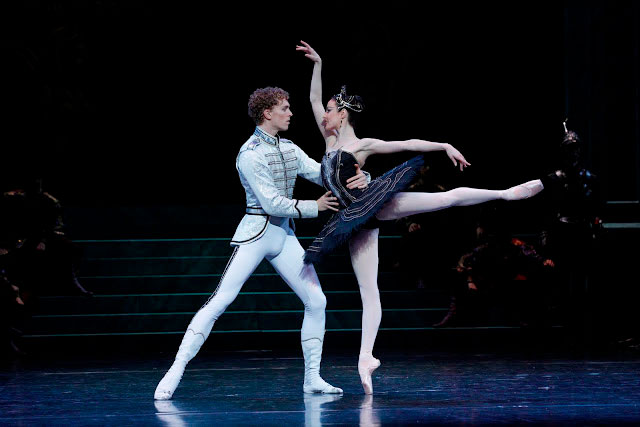 An Australian performance of Swan Lake in 2012. Photo by Jeff Busby