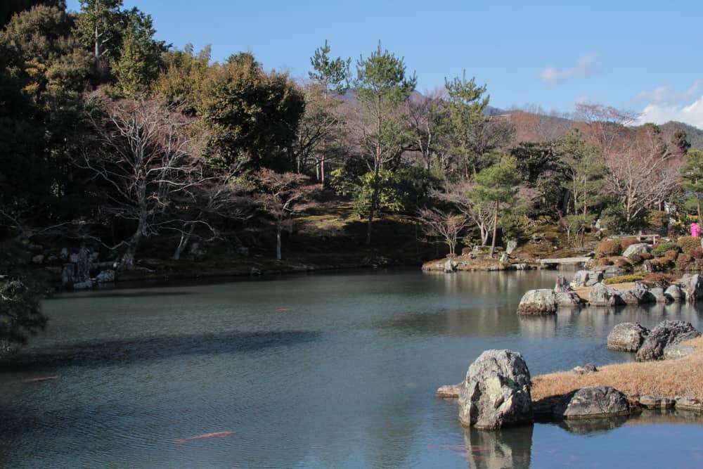 A beautiful lake with koi fish