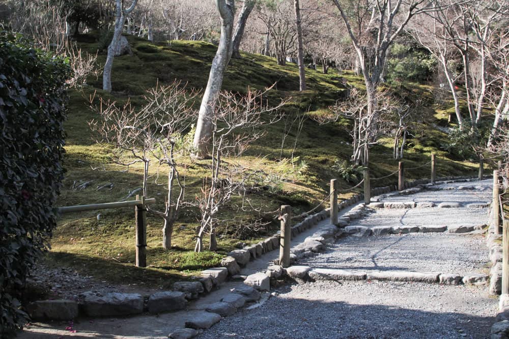 A pathway partially lit by sunlight