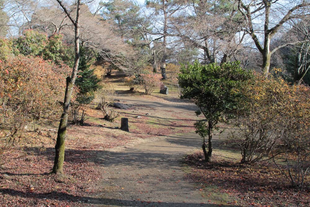 An area high up by the river