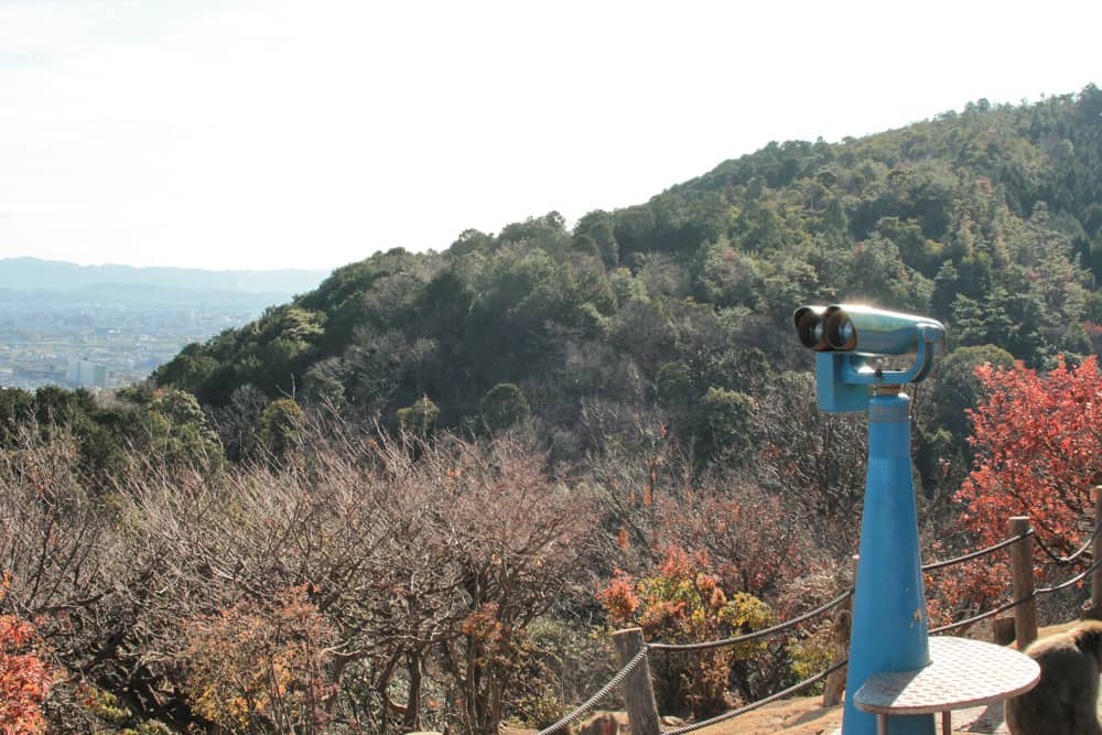 A view of Arashiyama