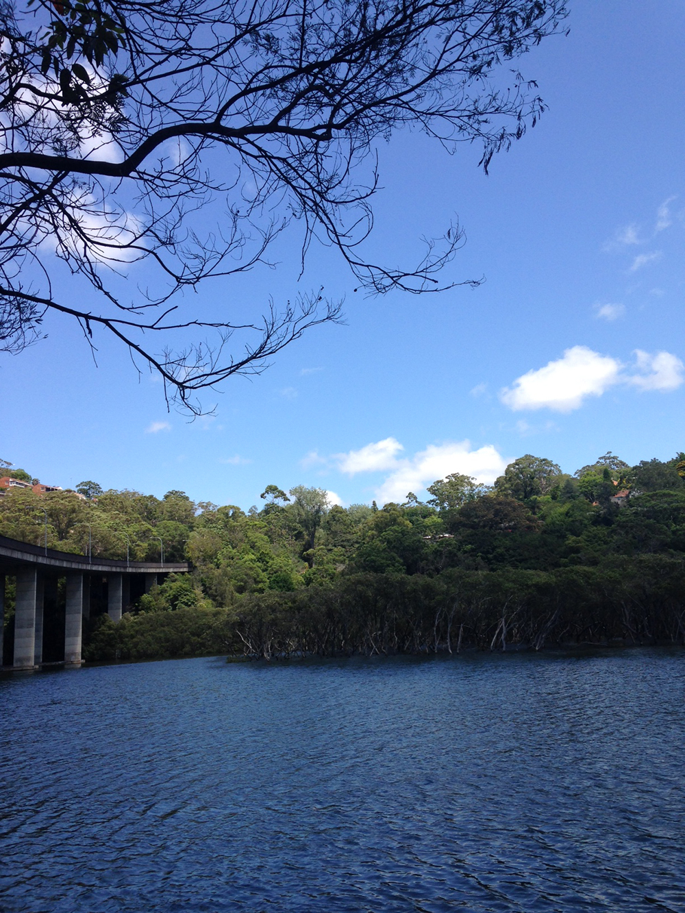 View of the water by a bridge