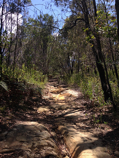 The trail on the way back