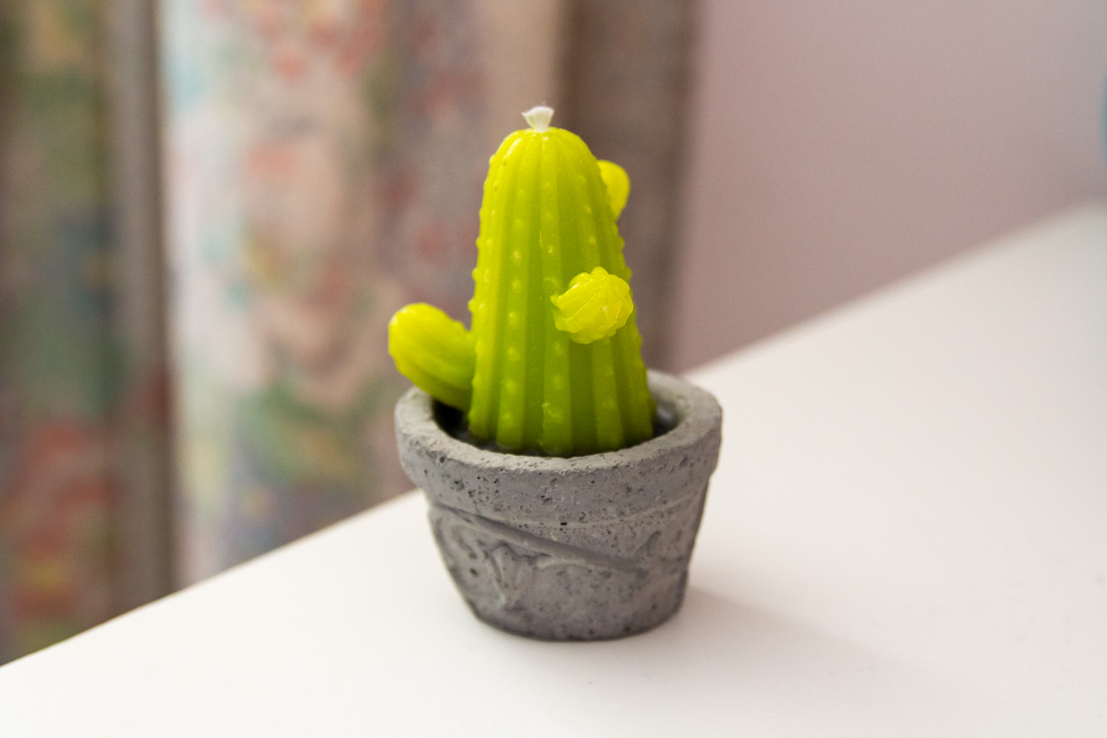 Cactus Candle-1