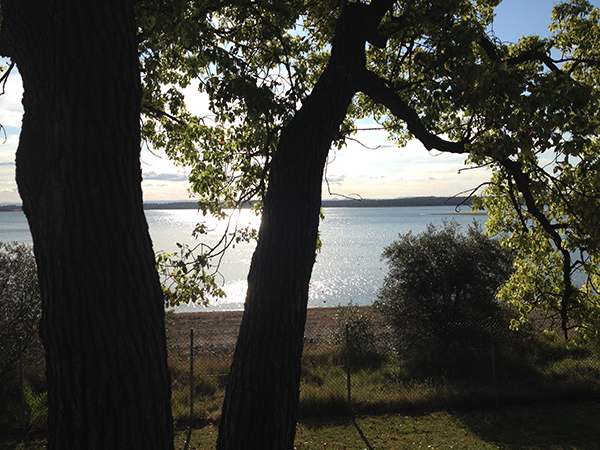 Prospect Reservoir