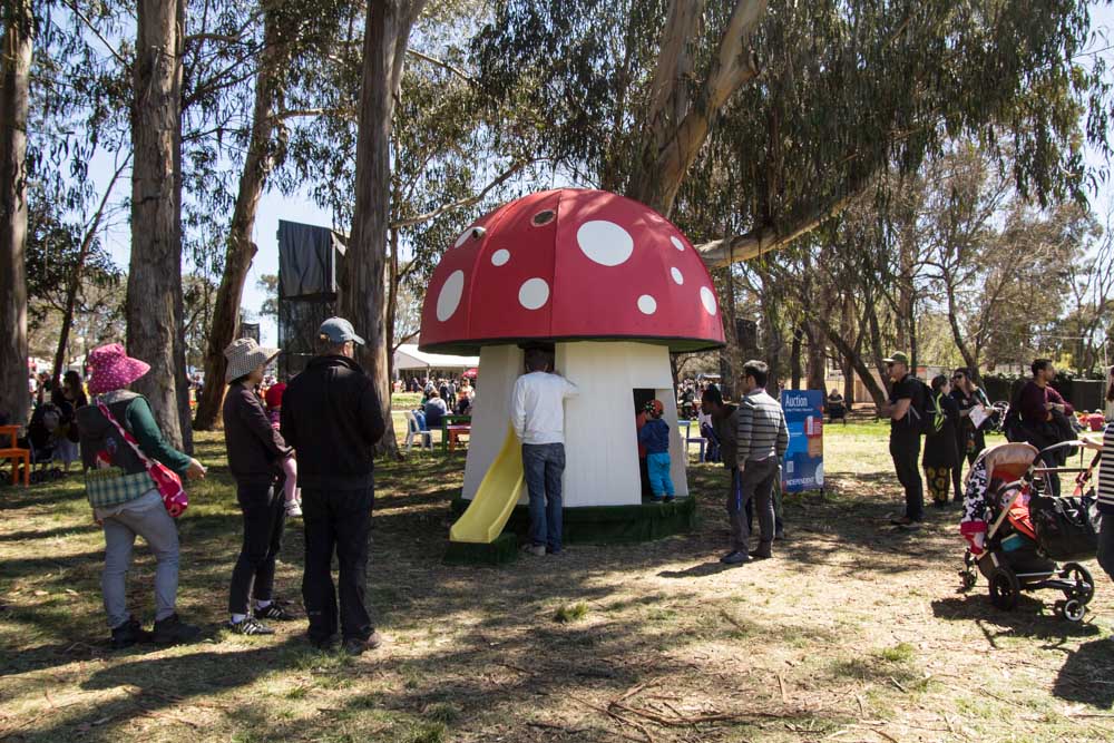 A little mushroom cubbyhouse of sorts.