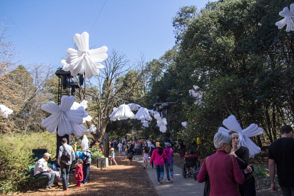 Big white inflatable flowers