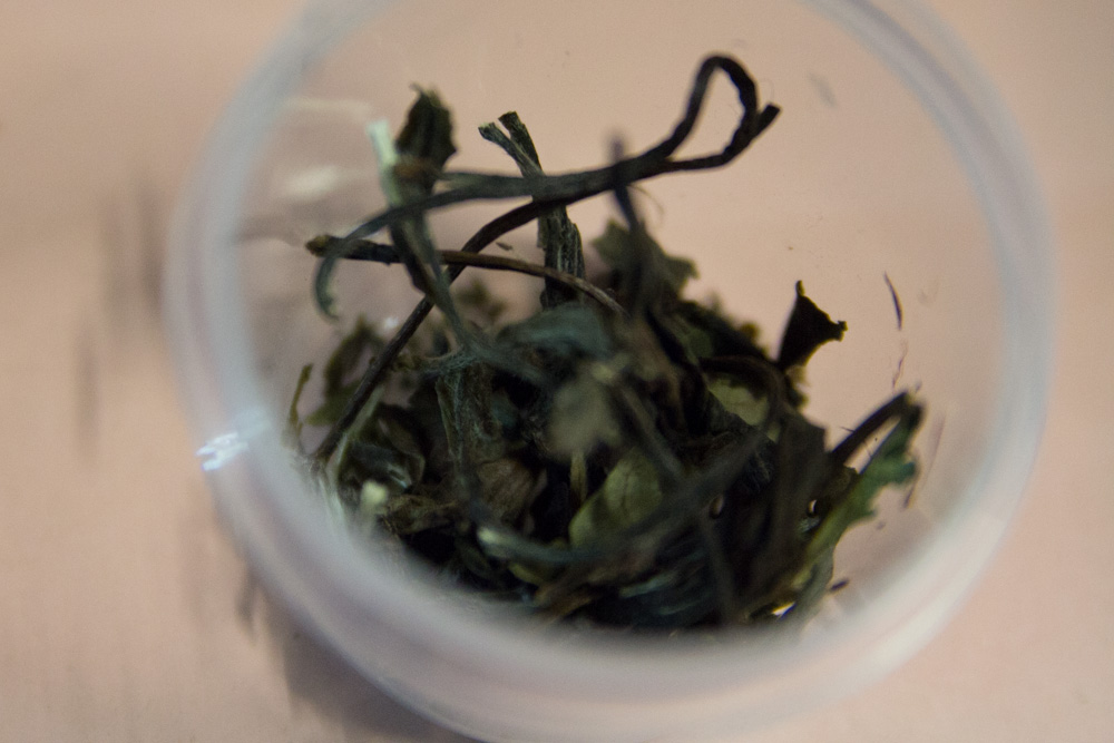 Shou Mei White tea