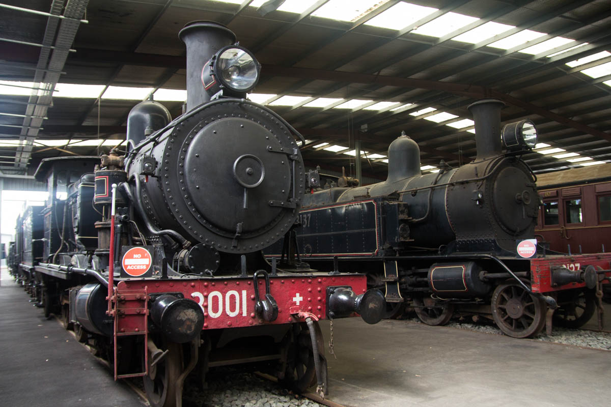 Steam trains at the Thirlmere Festival of Steam