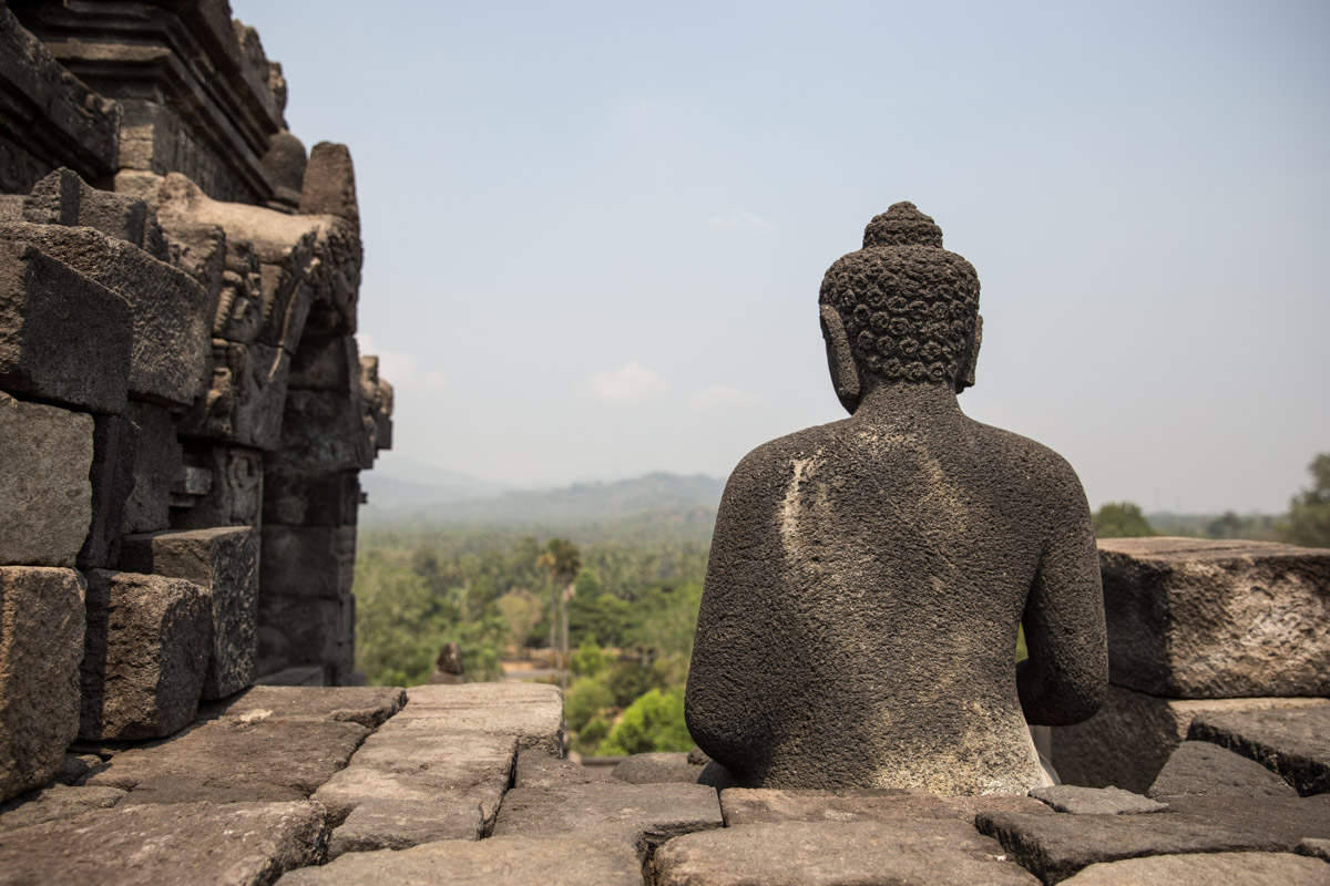 The back of a stone Buddha’s head