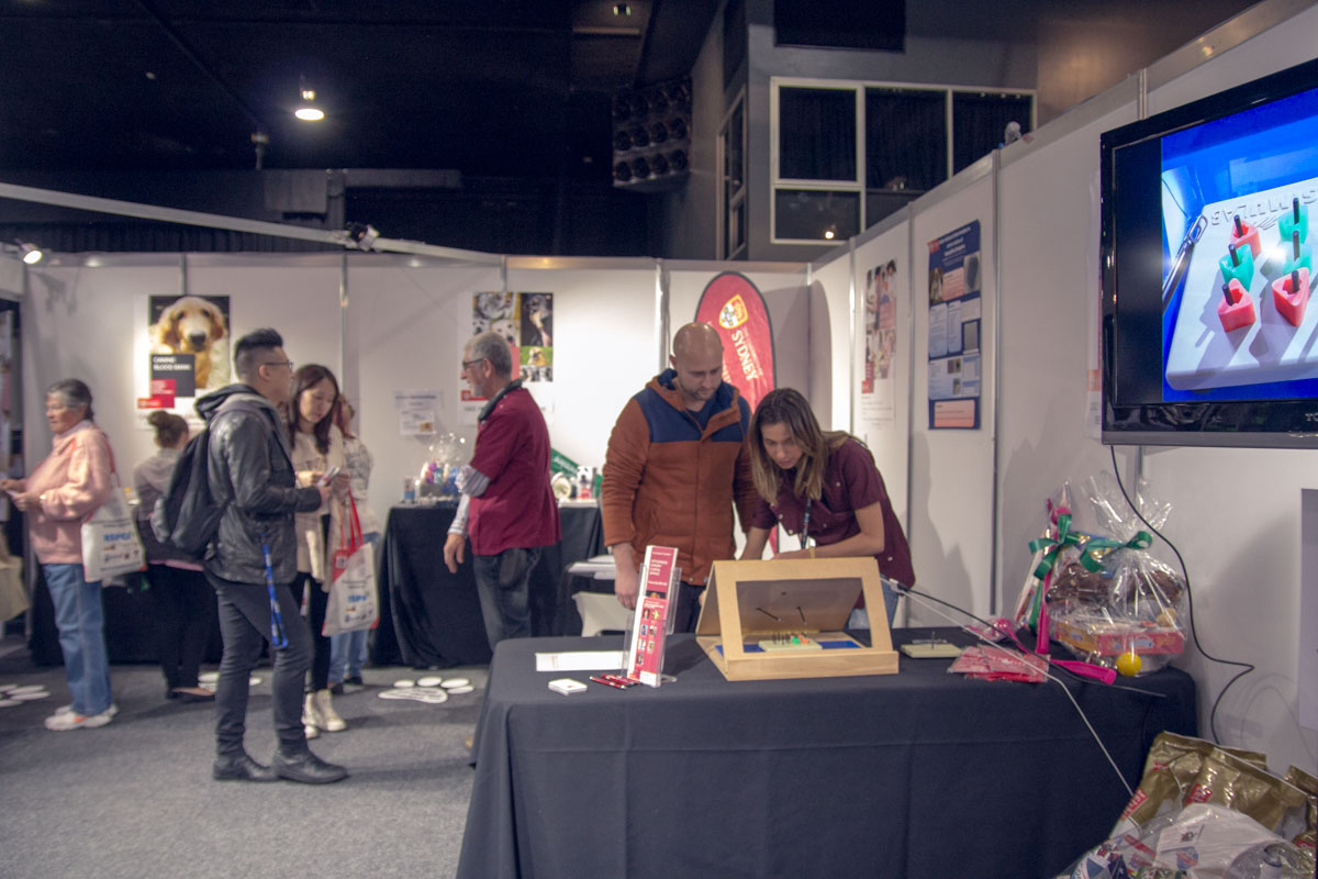 Some showgoers browsing the stalls