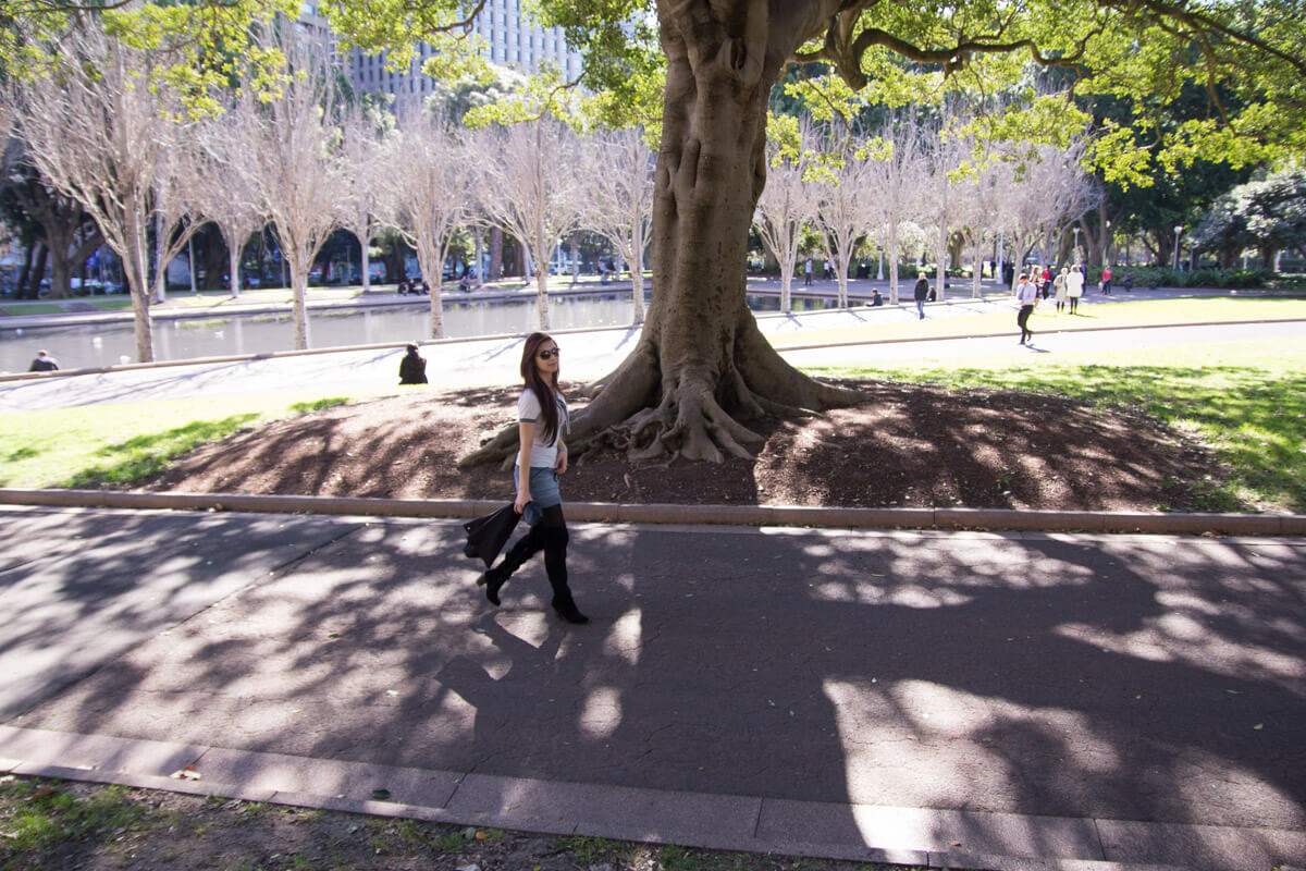 A wider view of the park